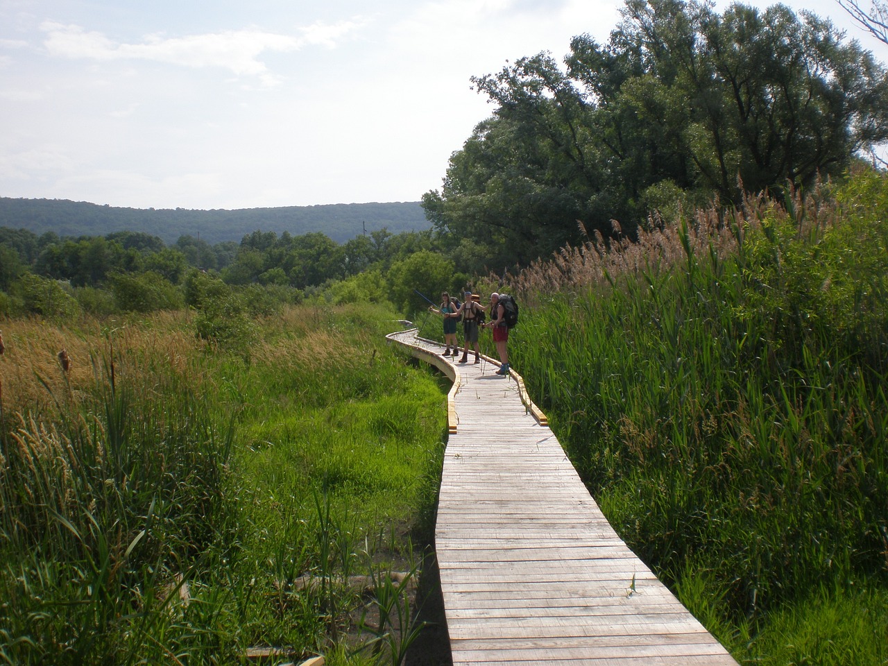 Hiking the Remote Trails of the Appalachian Mountains